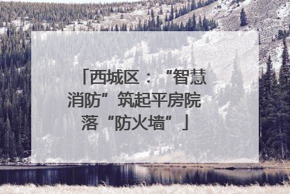 西城区：“智慧消防”筑起平房院落“防火墙”