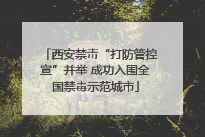 西安禁毒“打防管控宣”并举 成功入围全国禁毒示范城市
