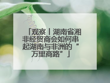 观察丨湖南省湘非经贸商会如何串起湖南与非洲的“万里商路”