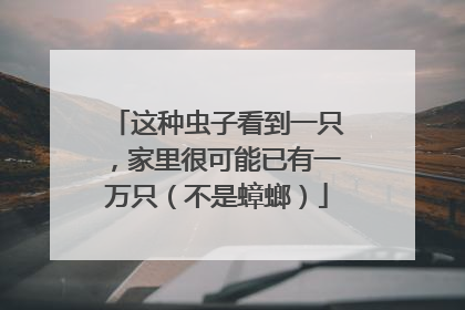 这种虫子看到一只，家里很可能已有一万只（不是蟑螂）