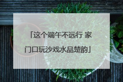 这个端午不远行 家门口玩沙戏水品楚韵