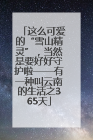 这么可爱的“雪山精灵”，当然是要好好守护啦——有一种叫云南的生活之365天