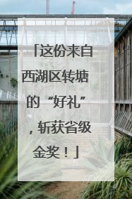 这份来自西湖区转塘的“好礼”，斩获省级金奖！