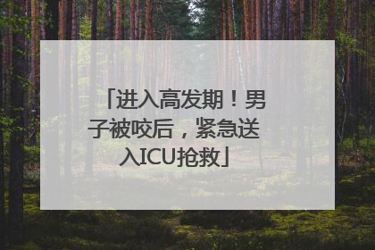进入高发期！男子被咬后，紧急送入ICU抢救