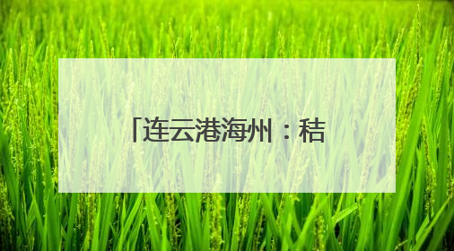连云港海州：秸秆“逆袭”绘就生态农业新画卷