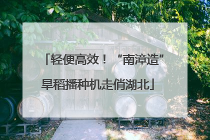 轻便高效！“南漳造”旱稻播种机走俏湖北