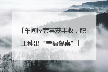 车间屋旁喜获丰收，职工种出“幸福餐桌”