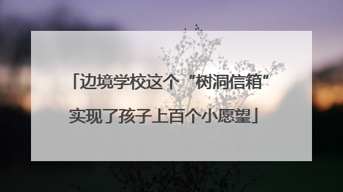边境学校这个“树洞信箱” 实现了孩子上百个小愿望