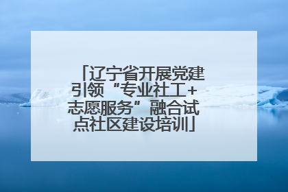 辽宁省开展党建引领“专业社工+志愿服务”融合试点社区建设培训