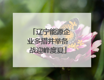 辽宁能源企业多措并举备战迎峰度夏