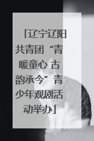 辽宁辽阳共青团“青暖童心 古韵承今”青少年观剧活动举办