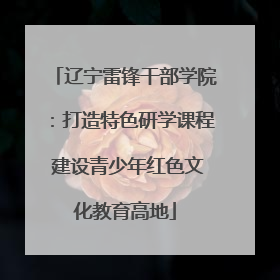 辽宁雷锋干部学院：打造特色研学课程 建设青少年红色文化教育高地