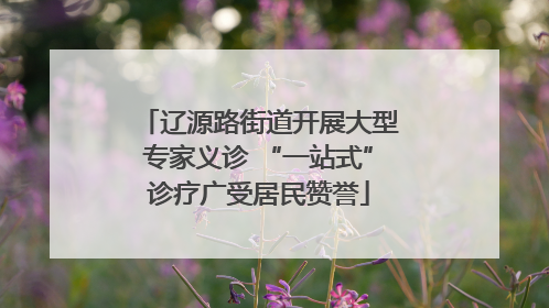 辽源路街道开展大型专家义诊 “一站式”诊疗广受居民赞誉