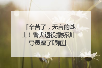 辛苦了，无言的战士！警犬退役撒娇训导员湿了眼眶