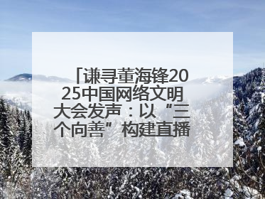 谦寻董海锋2025中国网络文明大会发声：以“三个向善”构建直播电商善意长河