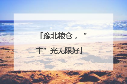 豫北粮仓，“丰”光无限好