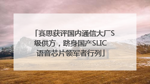 赛思获评国内通信大厂S级供方，跻身国产SLIC语音芯片领军者行列