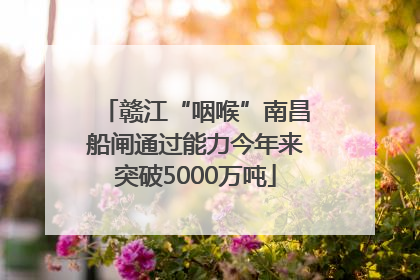 赣江“咽喉”南昌船闸通过能力今年来突破5000万吨