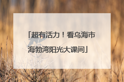 超有活力！看乌海市海勃湾阳光大课间