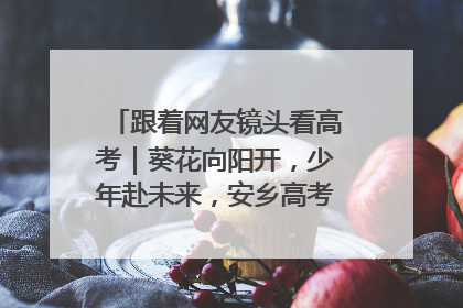 跟着网友镜头看高考｜葵花向阳开，少年赴未来，安乡高考首日的希望图景