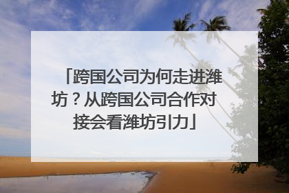 跨国公司为何走进潍坊？从跨国公司合作对接会看潍坊引力
