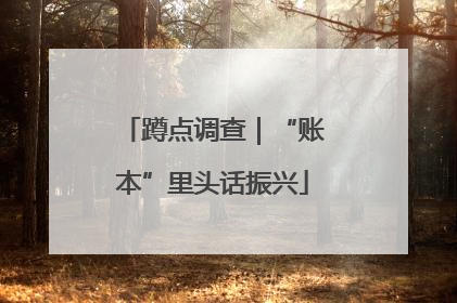 蹲点调查｜“账本”里头话振兴