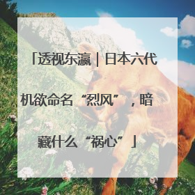 透视东瀛｜日本六代机欲命名“烈风”，暗藏什么“祸心”