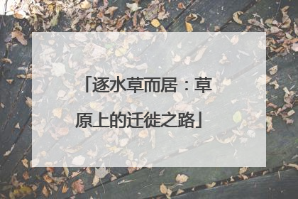 逐水草而居：草原上的迁徙之路