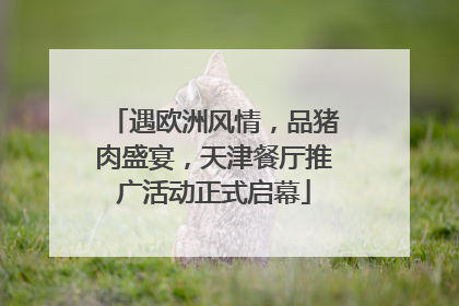 遇欧洲风情，品猪肉盛宴，天津餐厅推广活动正式启幕