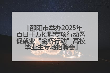 邵阳市举办2025年百日千万招聘专项行动暨促就业“金桥行动”高校毕业生专场招聘会