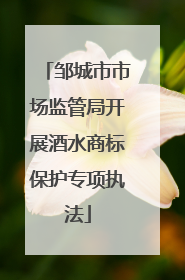 邹城市市场监管局开展酒水商标保护专项执法