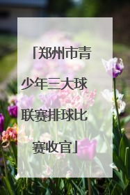 郑州市青少年三大球联赛排球比赛收官