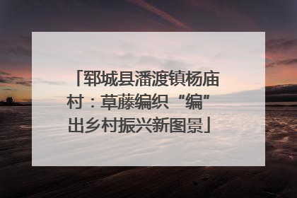郓城县潘渡镇杨庙村：草藤编织“编”出乡村振兴新图景