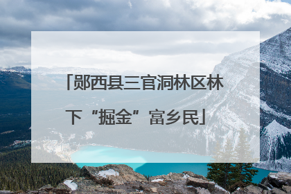 郧西县三官洞林区林下“掘金”富乡民