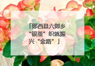 郧西县六郎乡“银茧”织就振兴“金路”