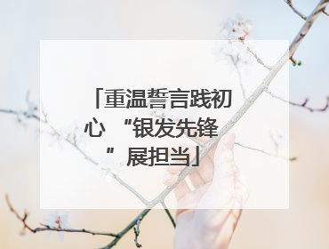 重温誓言践初心 “银发先锋”展担当
