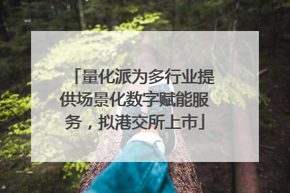 量化派为多行业提供场景化数字赋能服务，拟港交所上市