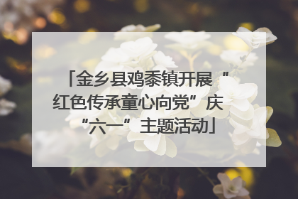 金乡县鸡黍镇开展“红色传承童心向党”庆“六一”主题活动