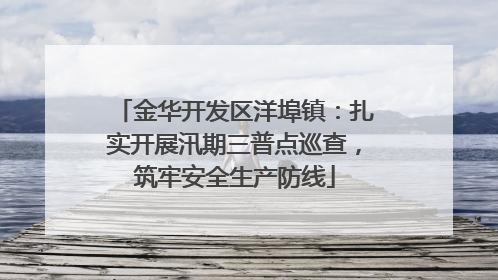 金华开发区洋埠镇：扎实开展汛期三普点巡查，筑牢安全生产防线