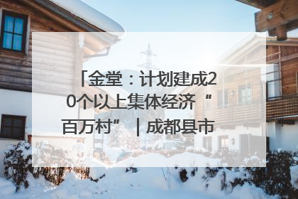 金堂：计划建成20个以上集体经济“百万村”｜成都县市新城高质量发展