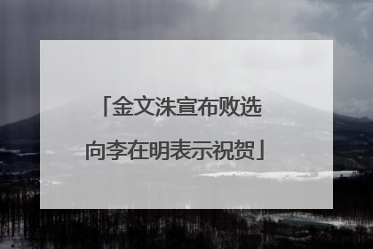金文洙宣布败选 向李在明表示祝贺