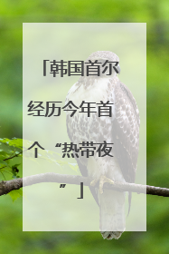 韩国首尔经历今年首个“热带夜”