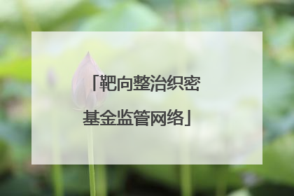 靶向整治织密基金监管网络