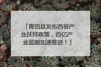 青田县发布西餐产业扶持政策，百亿产业蓝图加速推进！