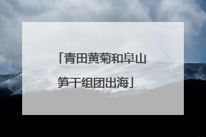 青田黄菊和阜山笋干组团出海