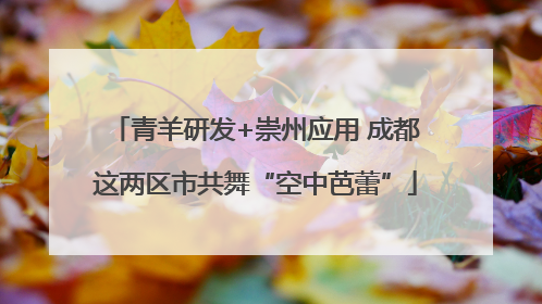 青羊研发+崇州应用 成都这两区市共舞“空中芭蕾”