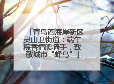 青岛西海岸新区灵山卫街道：端午粽香情暖骑手，致敬城市“蜂鸟”