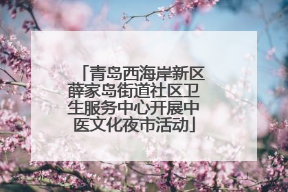 青岛西海岸新区薛家岛街道社区卫生服务中心开展中医文化夜市活动