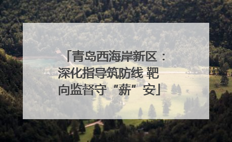 青岛西海岸新区：深化指导筑防线 靶向监督守“薪”安