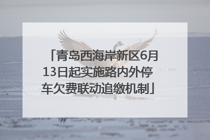 青岛西海岸新区6月13日起实施路内外停车欠费联动追缴机制